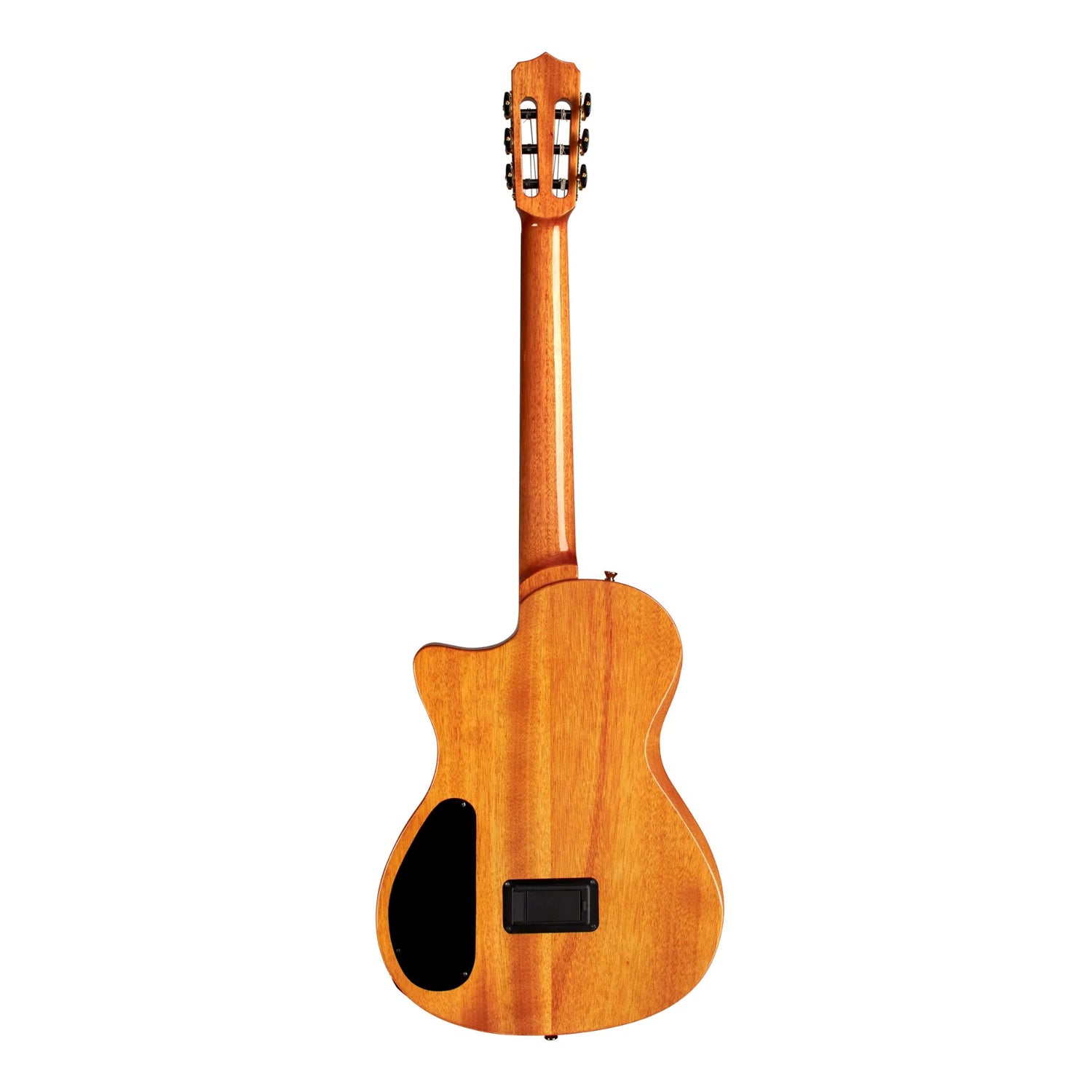 Córdoba Stage Thinbody Nylon Acoustic-Electric Guitar - Natural Amber