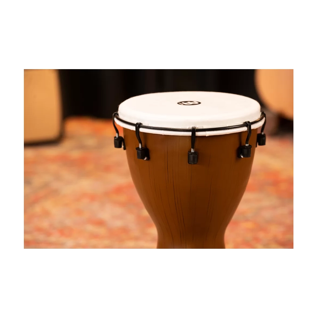 Meinl Percussion Alpine Series 10" Djembe - Barnwood