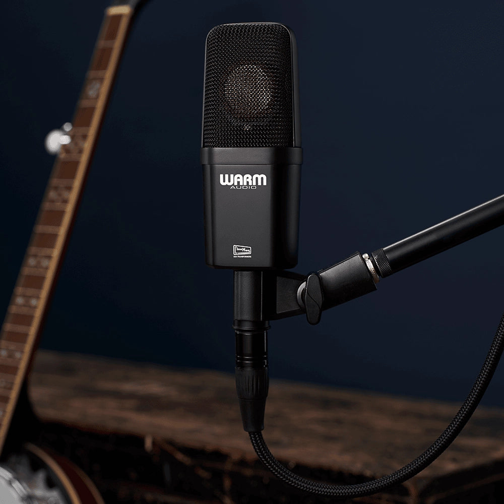 Warm Audio WA-14 Classic Condenser Microphone