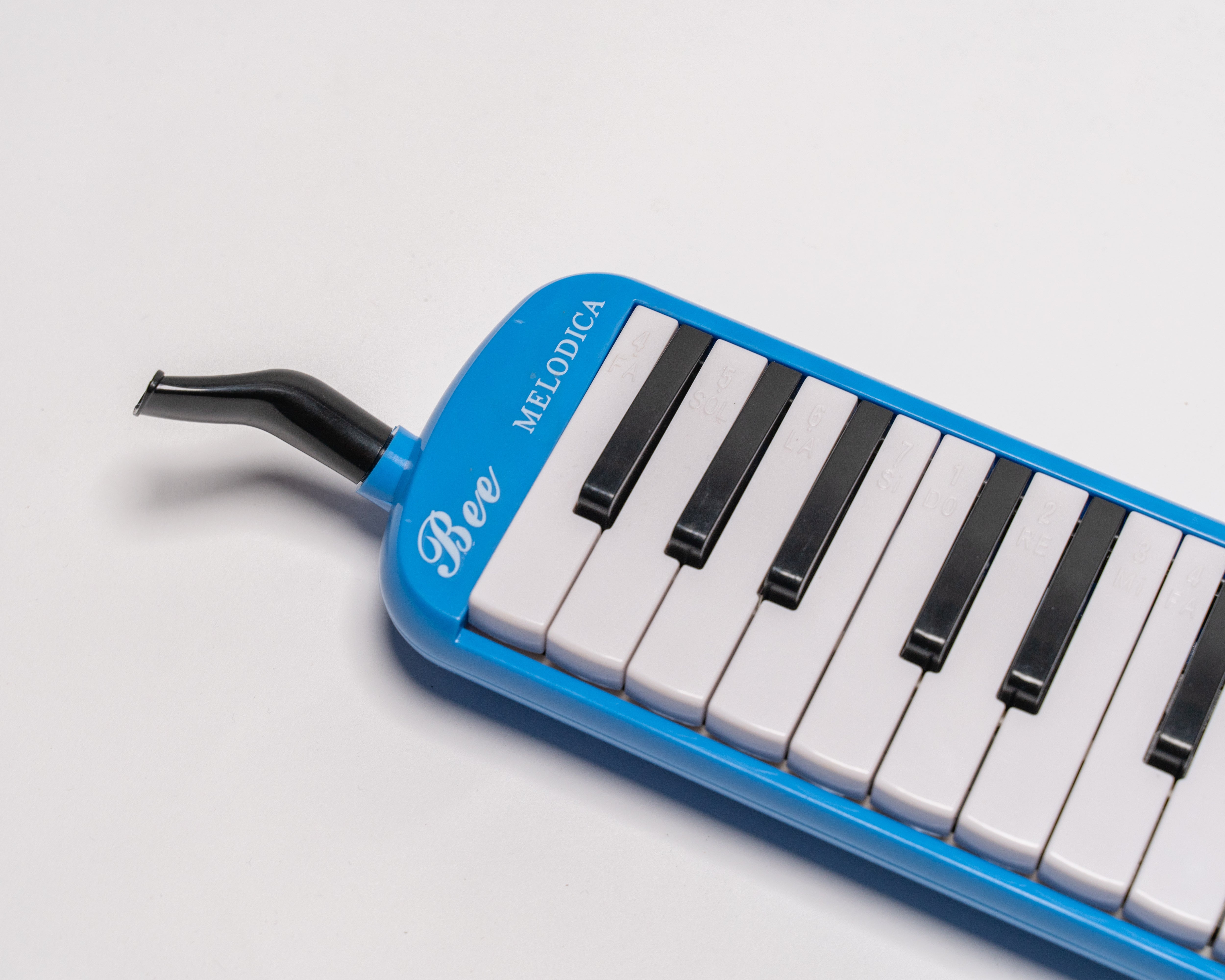 Bee melodica store